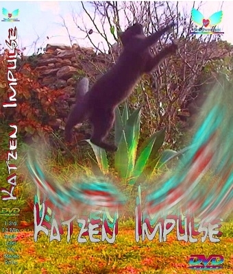 "    KATZEN - IMPULSE  " - HD Blu-ray Disc