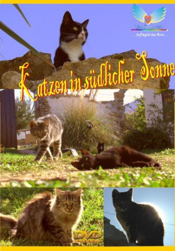 "                              KATZEN IN SÜDLICHER SONNE" - 2013 in HD