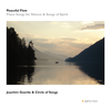 "                    CD - PEACEFUL FLOW" - Joachim Goerke& Circle of Songs